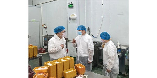 武漢市農業農村局赴農發零號公司調研