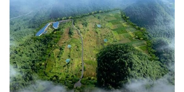 年豬示范養殖基地正式投欄，將帶動來鳳縣2個億生豬產值